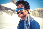 Nagarjuna next film, Nagarjuna, nag in a bollywood remake, Manmadhudu 2