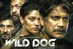 Wild Dog release date, Wild Dog latest updates, release date of nag s wild dog is out, Saiyami kher