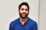 Naga Chaitanya upcoming movies, Naga Chaitanya new movie, change of plans for naga chaitanya, Suresh babu