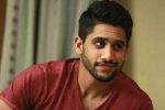 Naga Chaitanya updates, Naga Chaitanya new film, naga chaitanya in talks for a web film, Web film