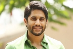 Naga Chaitanya next film, Naga Chaitanya new film, naga chaitanya signs his next, Savyasachi