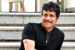 Nagarjuna new projects, Nagarjuna upcoming projects, nagarjuna s 100th film will be a multi starrer, Wild dog