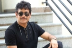 Nagarjuna, Nagarjuna upcoming projects, nagarjuna s 100th film locked, Akhil movie