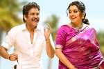 Bangarraju release date, Bangarraju breaking updates, nagarjuna s bangarraju turns hot among sankranthi releases, Rowdy boys Bangarraju release date, Bangarraju breaking updates, nagarjuna s bangarraju turns hot among sankranthi releases, Rowdy boys