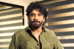Nagarjuna Personal Rights news, Nagarjuna Personal Rights news, delhi high on nagarjuna s personal rights, Actress
