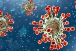 China Covid Row latest, China Covid Row updates, new china coronavirus variant traced in india, International travelers