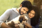 Ninu Veedani Needanu Nene telugu movie review, Ninu Veedani Needanu Nene telugu movie review, ninu veedani needanu nene movie review rating story cast and crew, Tada