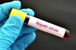 Nipah Virus symptoms, Nipah Virus in South India, nipah virus is back again two deaths registered, Veena