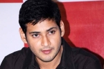 Mahesh Babu, Mahesh Babu latest, no clarity on mahesh s next title, Sambha