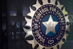 World Cup 2027 India Probables, BCCI, odi world cup 2027 probables decided by bcci, Olympics