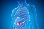 Pancreatic Cancer risk, Pancreatic Cancer breaking, how to protect yourself from pancreatic cancer, Easy