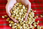 Pistachios latest, Pistachios in proteins, pistachios are a perfect protein snack, Nutrition
