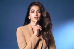 Pooja Hegde 2024, Pooja Hegde new projects, pooja hegde lines up bollywood films, Shahid kapoor