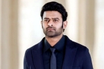 Prabhas next film, Maruthi, new updates of prabhas and maruthi film, Boman irani