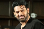 Prabhas next movie, Prabhas Project K updates, prabhas to join project k from november, C ashwini dutt