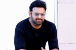 Prabhas new movies, Prabhas, prabhas to return back to work, C ashwini dutt