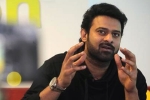 Prabhas movie updates, Prabhas next movie, two young beauties in talks for prabhas next, Pelli sandad