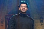 Prabhas, Prabhas recent pictures, prabhas struggling to cut down his weight, Dairy