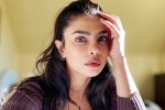 Priyanka Chopra statement, Priyanka Chopra latest, priyanka chopra breaks silence on don t look for virgin wife comment, Mahesh babu