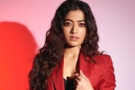 Benchmark Talents, Rashmika and Manager breaking news, rashmika mandanna clears air, Animal film