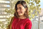 Rashmika Mandanna new movie, Rashmika Mandanna new movie, rashmika mandanna bags one more biggie, Gautam tinnanuri