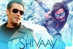 Shivaay, Salman Khan updates, salman khan to promote shivaay, Big boss