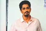 Siddharth latest updates, Siddharth, siddharth faces backlash on twitter, Rajya sabha