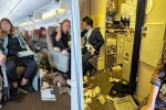 Singapore Airlines turbulence horror breaking, Singapore Airlines turbulence horror, one dead and 30 injured in singapore airlines turbulence horror, Varna