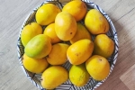 Soak Mangoes 30 minutes, Soak Mangoes health experts, soak mangoes for 30 minutes before eating, Love