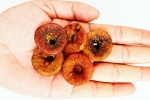 Soaked Anjeer new updates, Soaked Anjeer everyday, can you take soaked anjeer every day, Pants