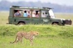 South African Safari Trip total video, South African Safari Trip total days, how to plan your south african safari trip, Private