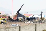 South Korea Plane Crash deaths, South Korea Plane Crash cause, pilot made mayday call and mentioned bird strike in south korea plane crash, News outlets