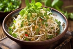 Sprouts diet, Sprouts benefits, benefits of adding sprouts to your diet, Healthy digestion