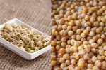 Sprouts, Sprouts vs Boiled Chana, sprouts vs boiled chana for weight loss, Lose weight