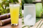 Sugarcane Juice, Sugarcane Juice Vs Coconut Water, sugarcane juice vs coconut water which is hydrating, Best Sugarcane Juice, Sugarcane Juice Vs Coconut Water, sugarcane juice vs coconut water which is hydrating, Best