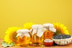 Sunflower Oil latest, Sunflower Oil long term effects, long term effects of consuming sunflower oil on heart health, Inflammation