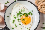 cholesterol, health benefits, top 5 benefits of eggs that ll make you to eat them every day, World egg day cholesterol, health benefits, top 5 benefits of eggs that ll make you to eat them every day, World egg day