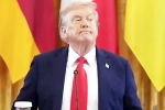 Trump Tariff on India Russia, Donald Trump, trump imposed tariffs on india to pressurize russia, White house