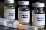 covid-19, US biotech, us biotech firm sees promising results with covid 19 vaccine, Mrna