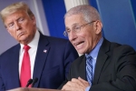 United States, United States, us could start reopening in may anthony fauci, Gasoline