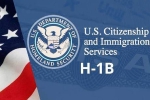 USICS on H1B visas, USICS latest report, uscis report claims more than 74 percent of indians accounted on h1b visas, Up government report