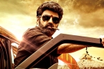 Veera Simha Reddy Telugu states, Veera Simha Reddy breaking updates, veera simha reddy sankranthi weekend collections, Varalaxmi sarathkumar