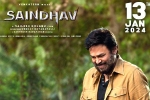 Saindhav for Sankranthi, Saindhav breaking news, venkatesh s saindhav locks new release date, Shraddha