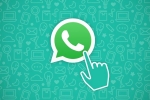 WhatsApp chat, WhatsApp default message timer updates, whatsapp for beta gets new default message timer, Privacy settings