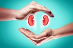 World Kidney Day 2025 breaking, World Kidney Day 2025 experts, world kidney day 2025 theme and health tips, Web