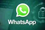 iOS Testing Multi-Account Support for WhatsApp news, iOS Testing Multi-Account Support for WhatsApp breaking updates, whatsapp for ios testing multi account support, Messi