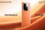 iQOO Z9s Pro 5G features, iQOO Z9s Pro 5G colours, iqoo z9s pro 5g launched in india, Oled screens