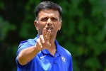 Rahul Dravid, India A, rahul dravid to lead team india as head coach, Anil kumble