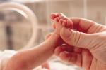 premature babies risks, premature birth., premature birth may up osteoporosis risk in adulthood, Premature babies premature babies risks, premature birth., premature birth may up osteoporosis risk in adulthood, Premature babies