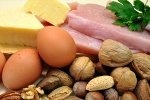 cells, tissues, why protein is an important part of your healthy diet, Best foods